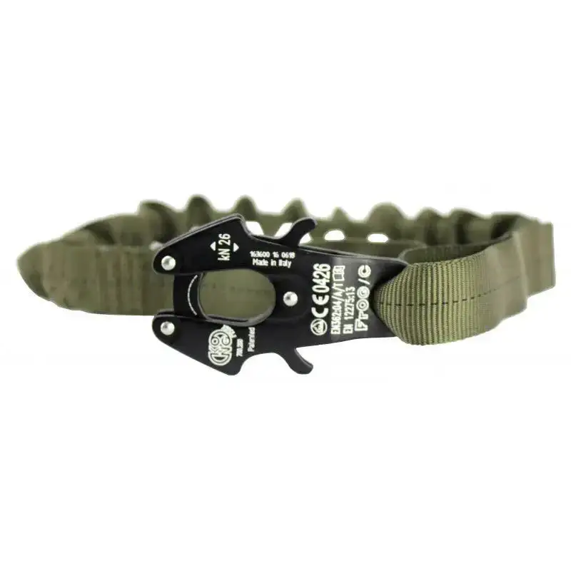 Lanyard Frog – Image 2